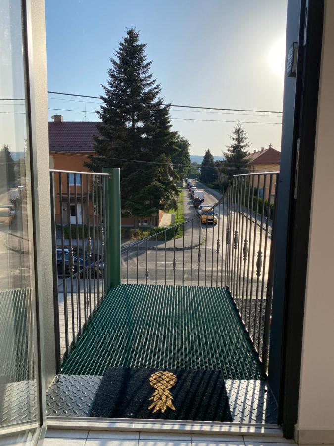 Útulný apartmán v blízskom centre mesta Bardejov Exterior foto
